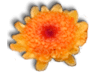 Captcha image 6696